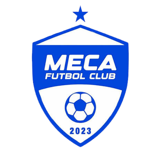Mecatronica